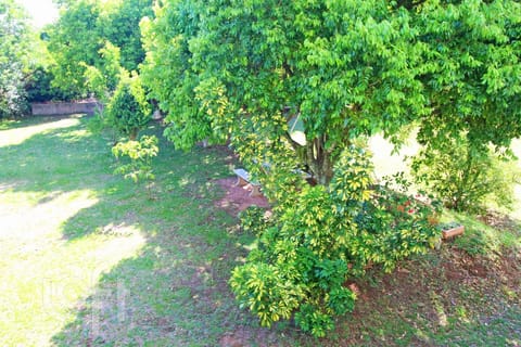 Image 43 - 274103